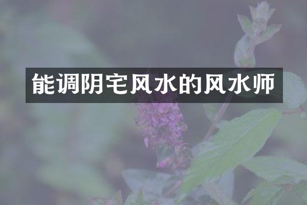 能调阴宅风水的风水师