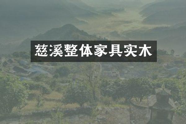 慈溪整体家具实木