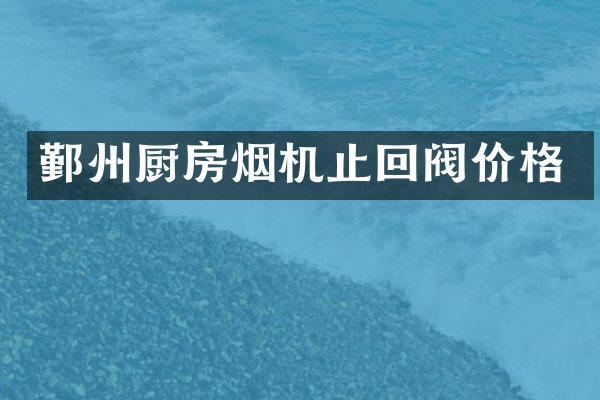 鄞州厨房烟机止回阀价格
