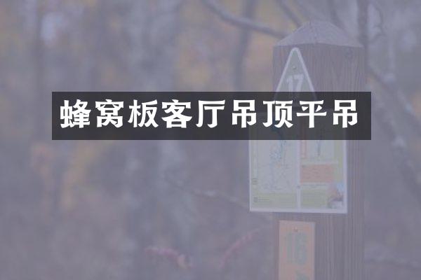 蜂窝板客厅吊顶平吊