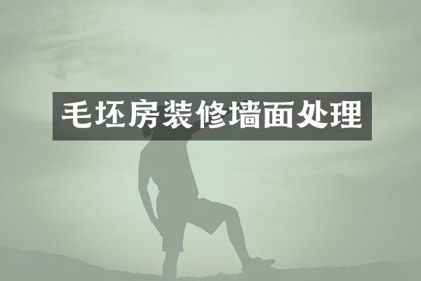 毛坯房装修墙面处理