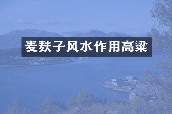 麦麸子风水作用高粱