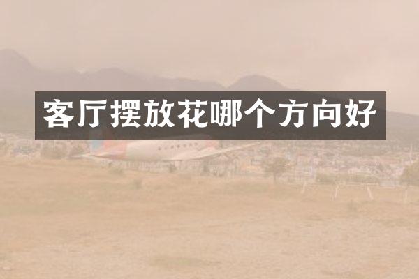 客厅摆放花哪个方向好