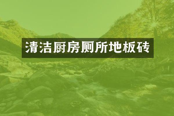 清洁厨房厕所地板砖