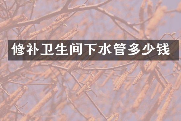 修补卫生间下水管多少钱