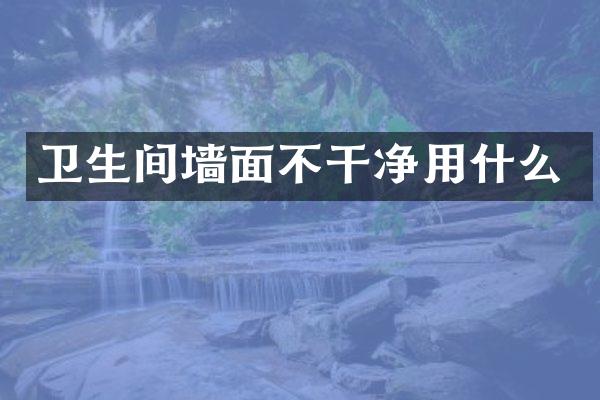 卫生间墙面不干净用什么