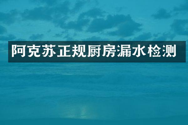 阿克苏正规厨房漏水检测