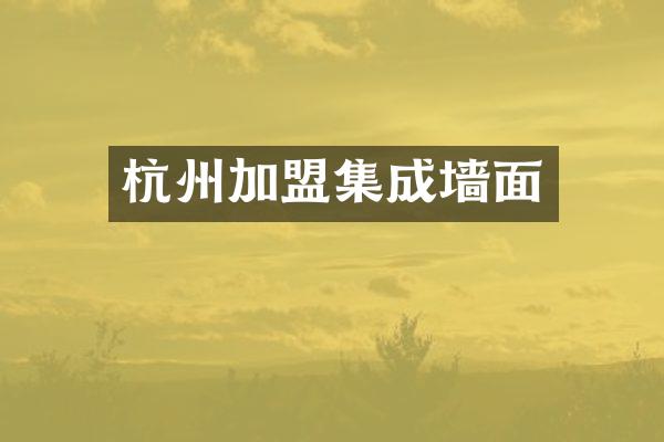 杭州加盟集成墙面