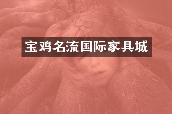 宝鸡名流国际家具城