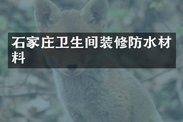 石家庄卫生间装修防水材料