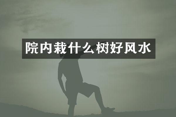 院内栽什么树好风水