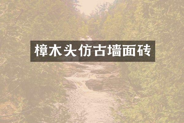 樟木头仿古墙面砖