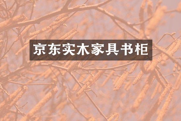 京东实木家具书柜