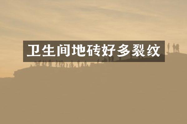 卫生间地砖好多裂纹