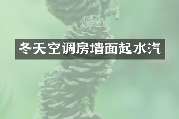 冬天空调房墙面起水汽