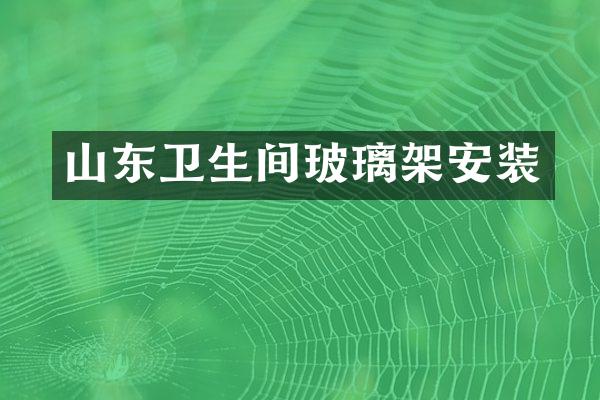 山东卫生间玻璃架安装