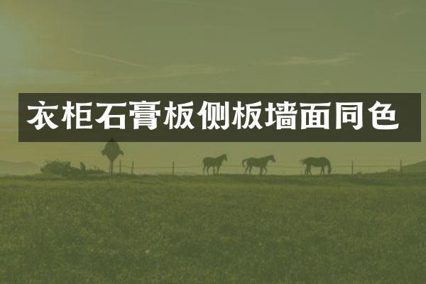 衣柜石膏板侧板墙面同色