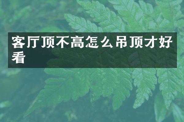客厅顶不高怎么吊顶才好看