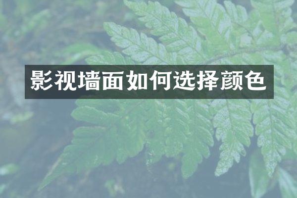 影视墙面如何选择颜色