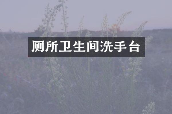 厕所卫生间洗手台
