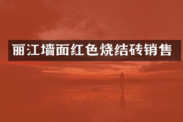 丽江墙面红色烧结砖销售