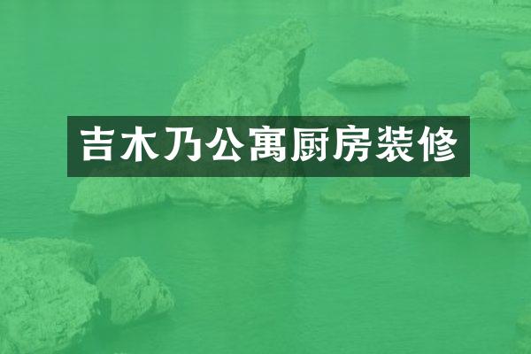 吉木乃公寓厨房装修