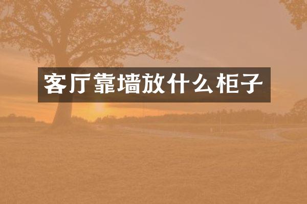 客厅靠墙放什么柜子