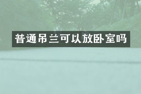 普通吊兰可以放卧室吗