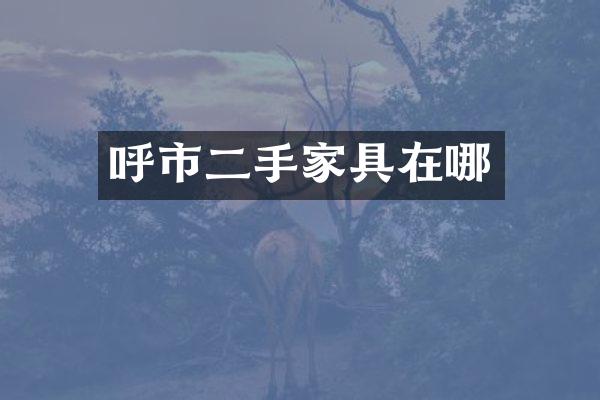 呼市二手家具在哪