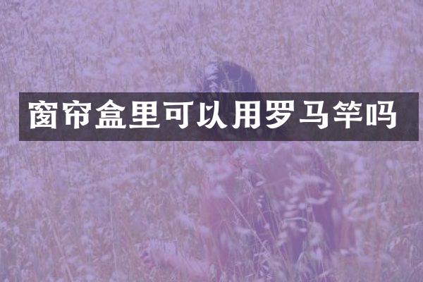 窗帘盒里可以用罗马竿吗