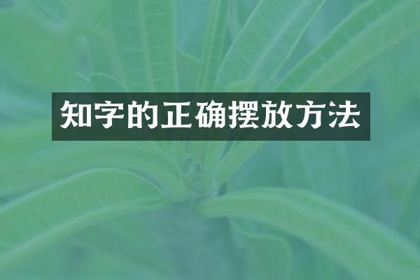 知字的正确摆放方法