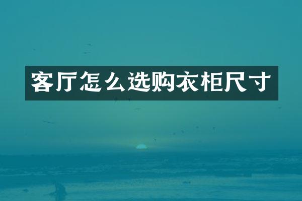 客厅怎么选购衣柜尺寸