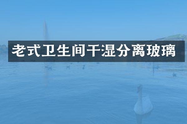 老式卫生间干湿分离玻璃
