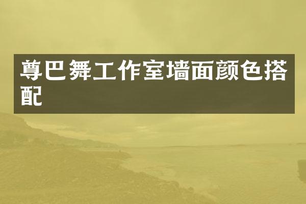 尊巴舞工作室墙面颜色搭配