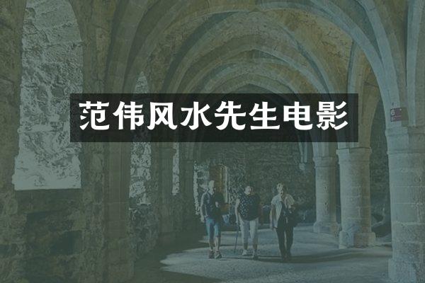 范伟风水先生电影