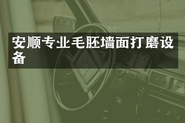 安顺专业毛胚墙面打磨设备