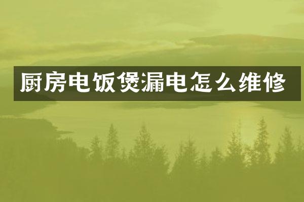 厨房电饭煲漏电怎么维修