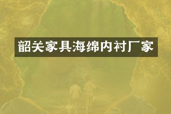 韶关家具海绵内衬厂家
