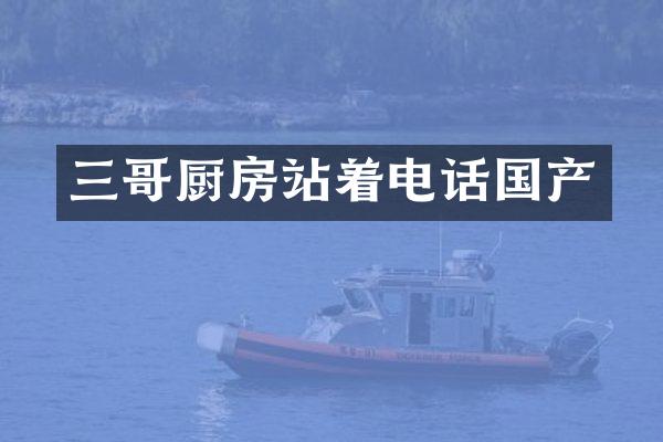 三哥厨房站着电话国产