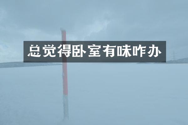 总觉得卧室有味咋办