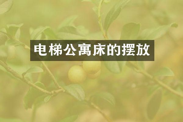 电梯公寓床的摆放