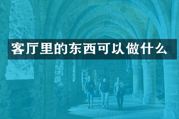 客厅里的东西可以做什么