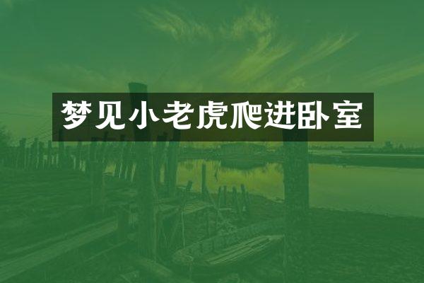 梦见小老虎爬进卧室