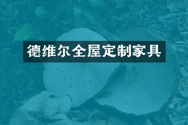 德维尔全屋定制家具