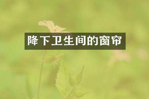 降下卫生间的窗帘