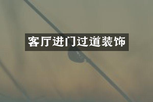 客厅进门过道装饰