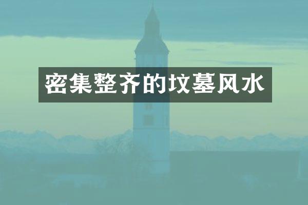 密集整齐的坟墓风水