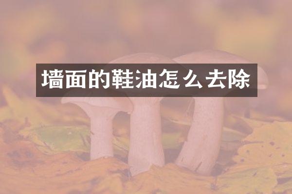 墙面的鞋油怎么去除
