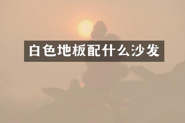白色地板配什么沙发