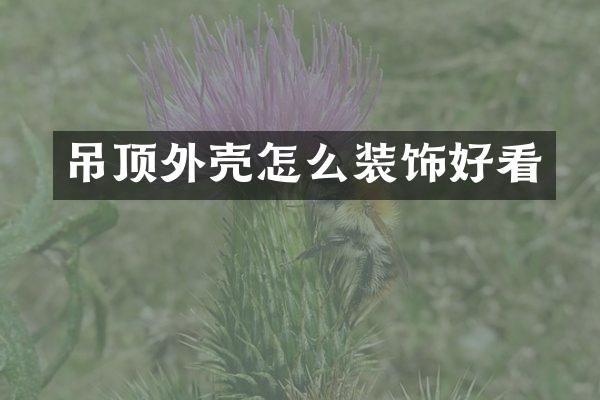 吊顶外壳怎么装饰好看